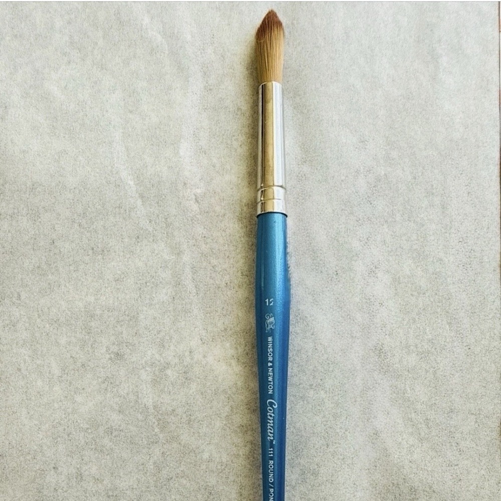 Winsor & Newton Cotman Watercolor Brush - Series 111-Round #12 Preowned